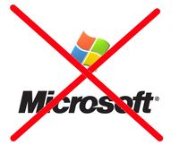 MS Logo