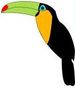 Toucan Logo