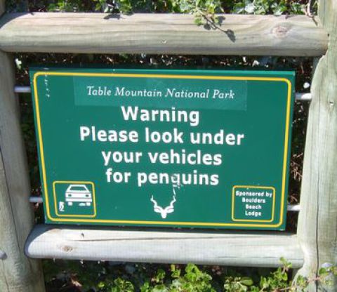 Schild